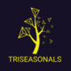 trialgo_triseasonals
