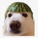 Joosh