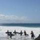 surfingstocks